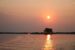 Chobe Sunset