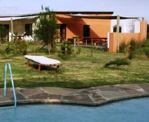 Punda-295x300