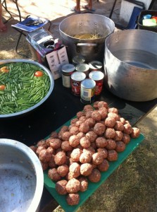 Dinner - Meatballs on safari Meatballs for Dinner on safari.