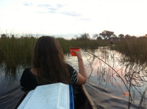 Mokoro Safari in the Delta Safari in Mokoro, Delta