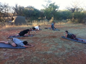 Yoga, camping at the Cheetah Park Cheetah Park - Yoga in the morning