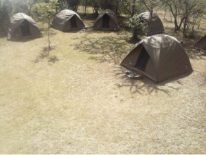 Empty Tents