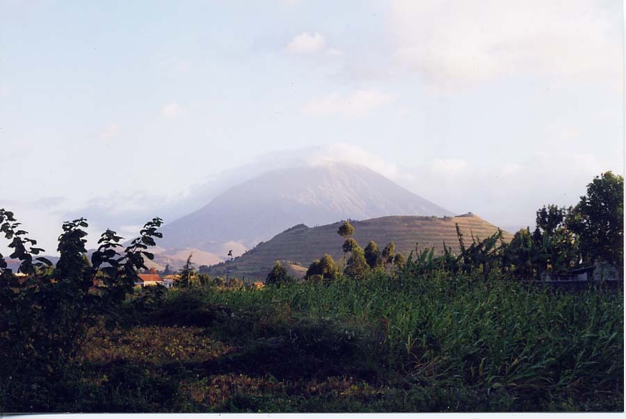 Safari from  Entebbe to Kigali 