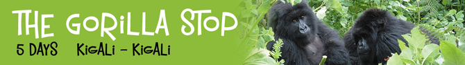 The Gorilla Stop 6 days Kigali - Kigali