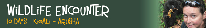 Wildlife Encounter 11 days Kigali - Arusha