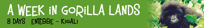 A Week In Gorilla Lands 8 days Kampala - Kigali