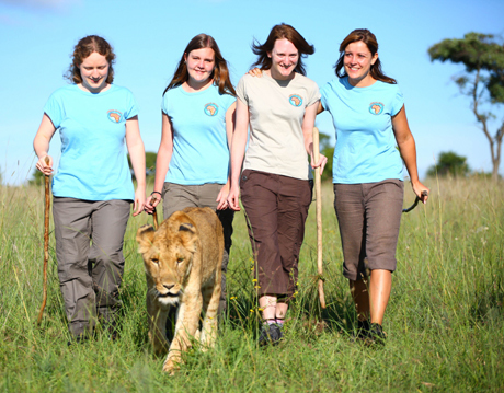 Walk with lions  Walk with lions
