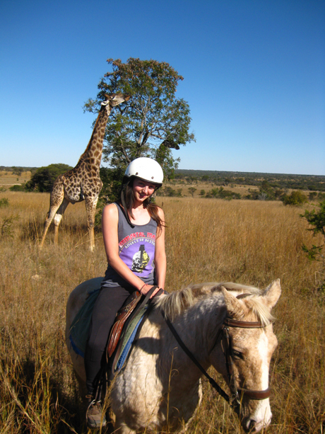 Horse riding  Horse riding
