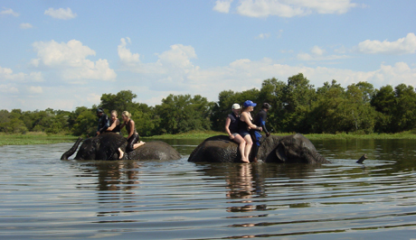 Elephant rides in Zimbabwe Elephant rides in Zimbabwe