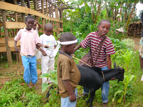 Helping locals in the Madventurer Helping locals in the Madventurer