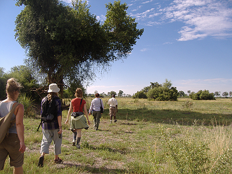 Guided walks on the Botswana Safari