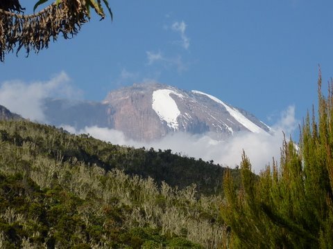 Climb Kilimanjaro on the 6 day Marangu Route