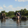 Elephant rides in Zimbabwe