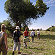 Guided walks on the Botswana Safari