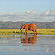 Elephant having a drink in the lake