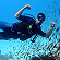 Scuba diving Zanzibar Island